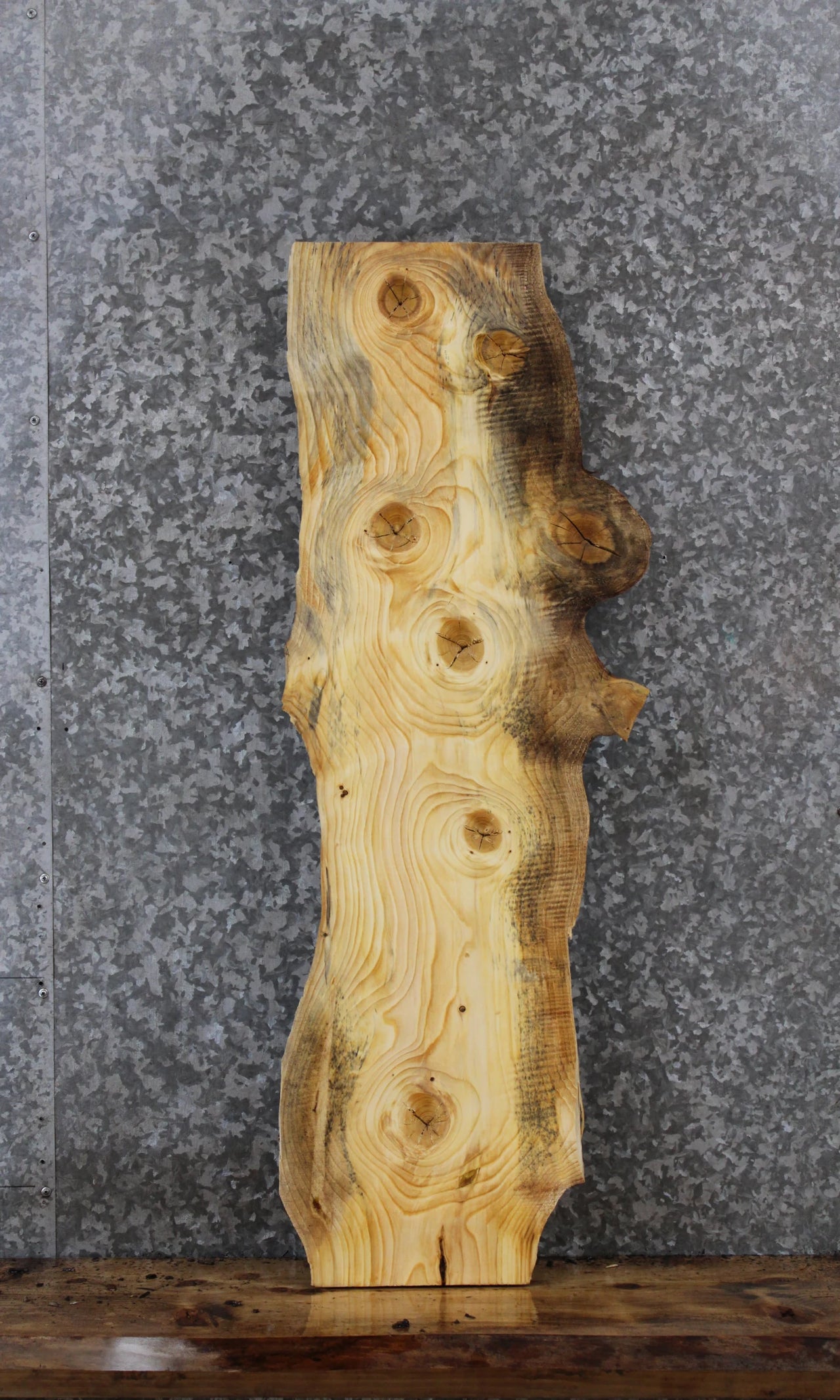 Knotty Pine Live Edge Taxidermy Mount/Charcuterie Board 1418