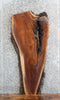 Thumbnail for Live Edge Black Walnut Coffee/Sofa Table Top Slab 1420
