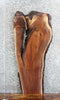 Thumbnail for Live Edge Black Walnut Coffee/Sofa Table Top Slab 1420