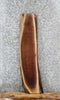 Thumbnail for Black Walnut Live Edge Charcuterie/Taxidermy Slab 1421