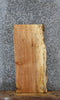 Thumbnail for Maple Live Edge End Table/Shelf Slab 1424