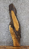 Thumbnail for Live Edge White Oak Side/Console Table Top Slab 1425