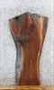 Thumbnail for Live Edge Black Walnut Sofa/Coffee Table Top Slab 1426