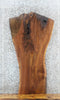 Thumbnail for Live Edge Black Walnut Sofa/Coffee Table Top Slab 1426