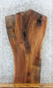 Thumbnail for Live Edge Black Walnut Sofa/Coffee Table Top Slab 1427