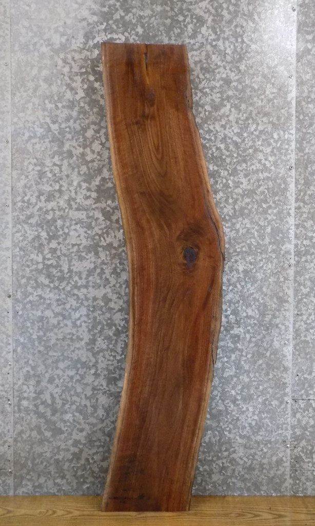 Black Walnut Natural Edge Sofa/Side Table Top Wood Slab 1428