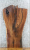 Thumbnail for Live Edge Black Walnut Sofa/Coffee Table Top Slab 1428