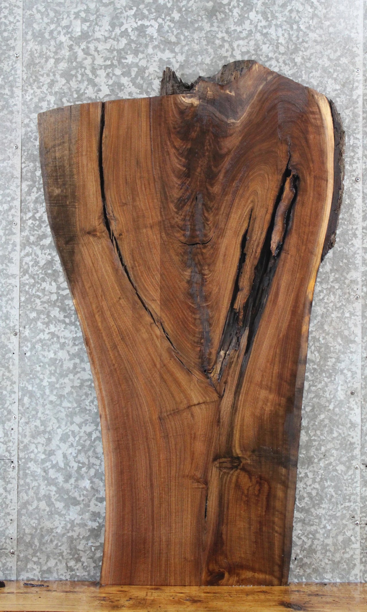 Live Edge Black Walnut Sofa/Coffee Table Top Slab 1428