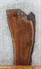 Thumbnail for Live Edge Black Walnut Sofa/Coffee Table Top Slab 1430