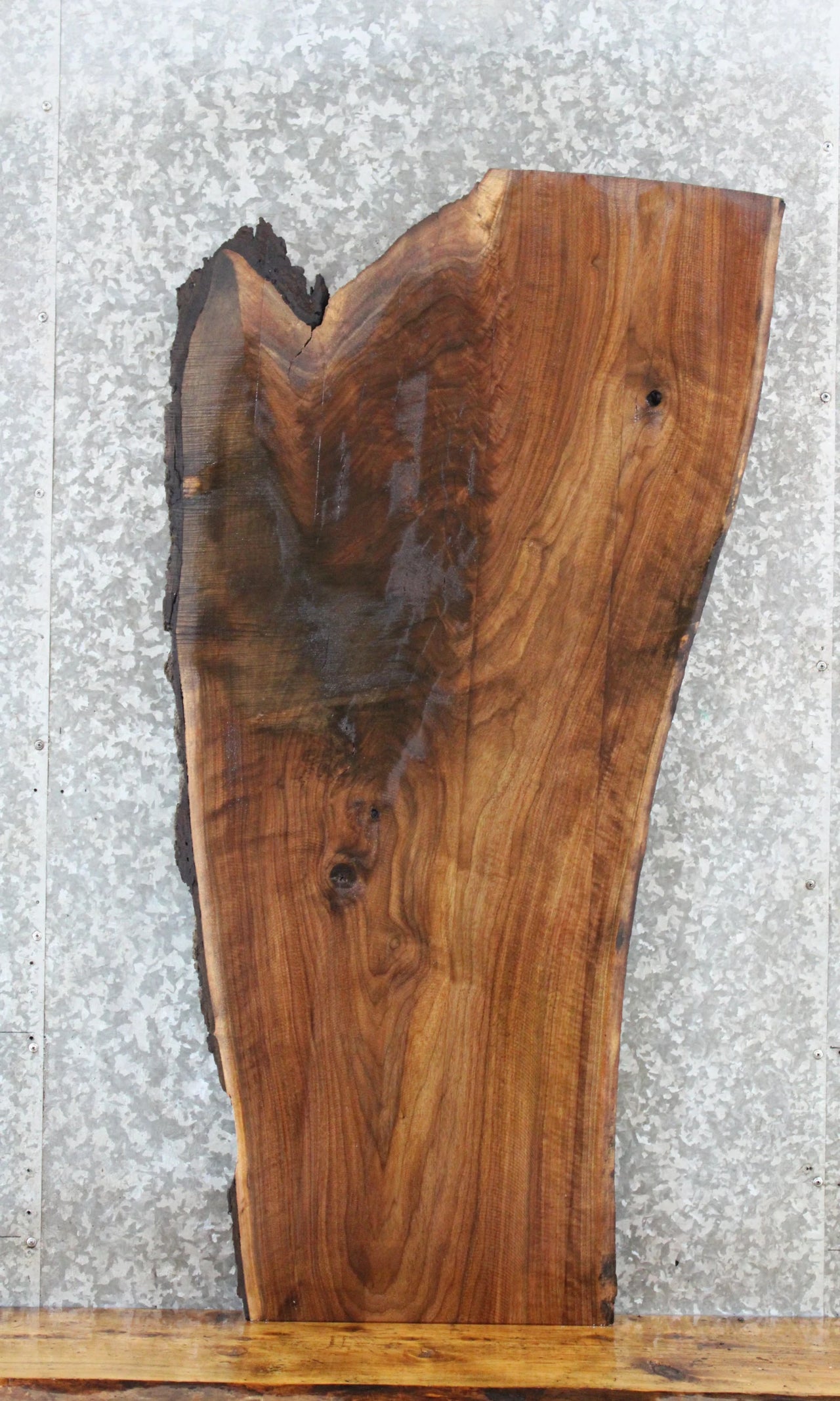 Live Edge Black Walnut Sofa/Coffee Table Top Slab 1430