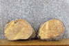Thumbnail for 2- Round Cut Mulberry Live Edge Taxidermy Base Slabs CLOSEOUT 14314-14315