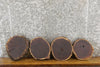 Thumbnail for 4- Rustic Round Cut Black Walnut Natural Edge Craft Pack Slabs 14325-14328
