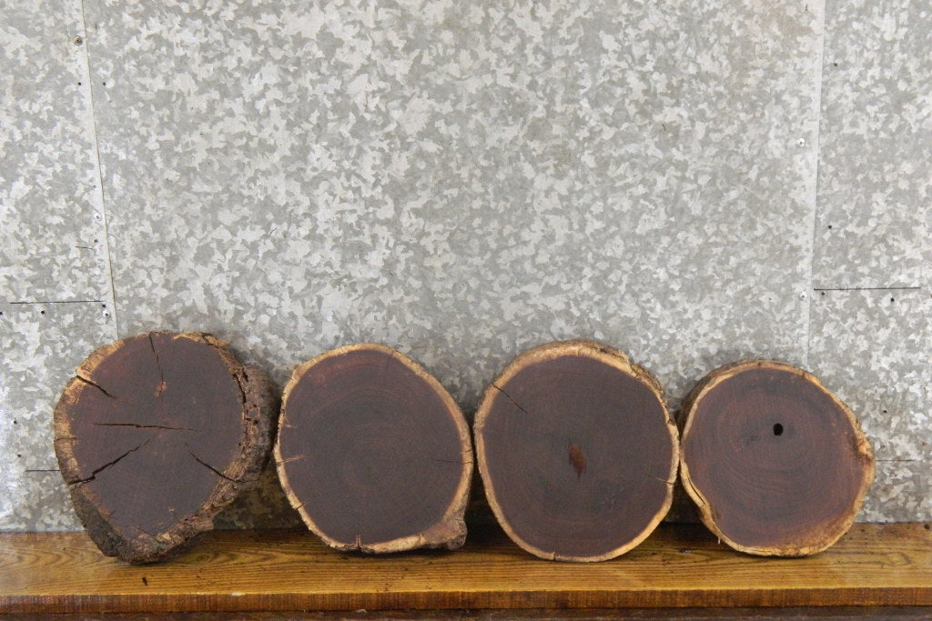 4- Rustic Round Cut Black Walnut Natural Edge Craft Pack Slabs 14325-14328