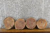 Thumbnail for 4- Rustic Round Cut Black Walnut Natural Edge Craft Pack Slabs 14325-14328
