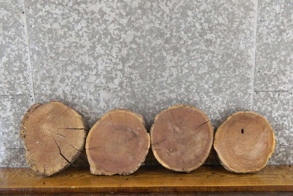 4- Rustic Round Cut Black Walnut Natural Edge Craft Pack Slabs 14325-14328