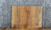 Thumbnail for Spalted Maple Live Edge Coffee/End Table Slab 14346