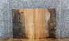 Thumbnail for Spalted Maple Live Edge Coffee/End Table Slab 14346