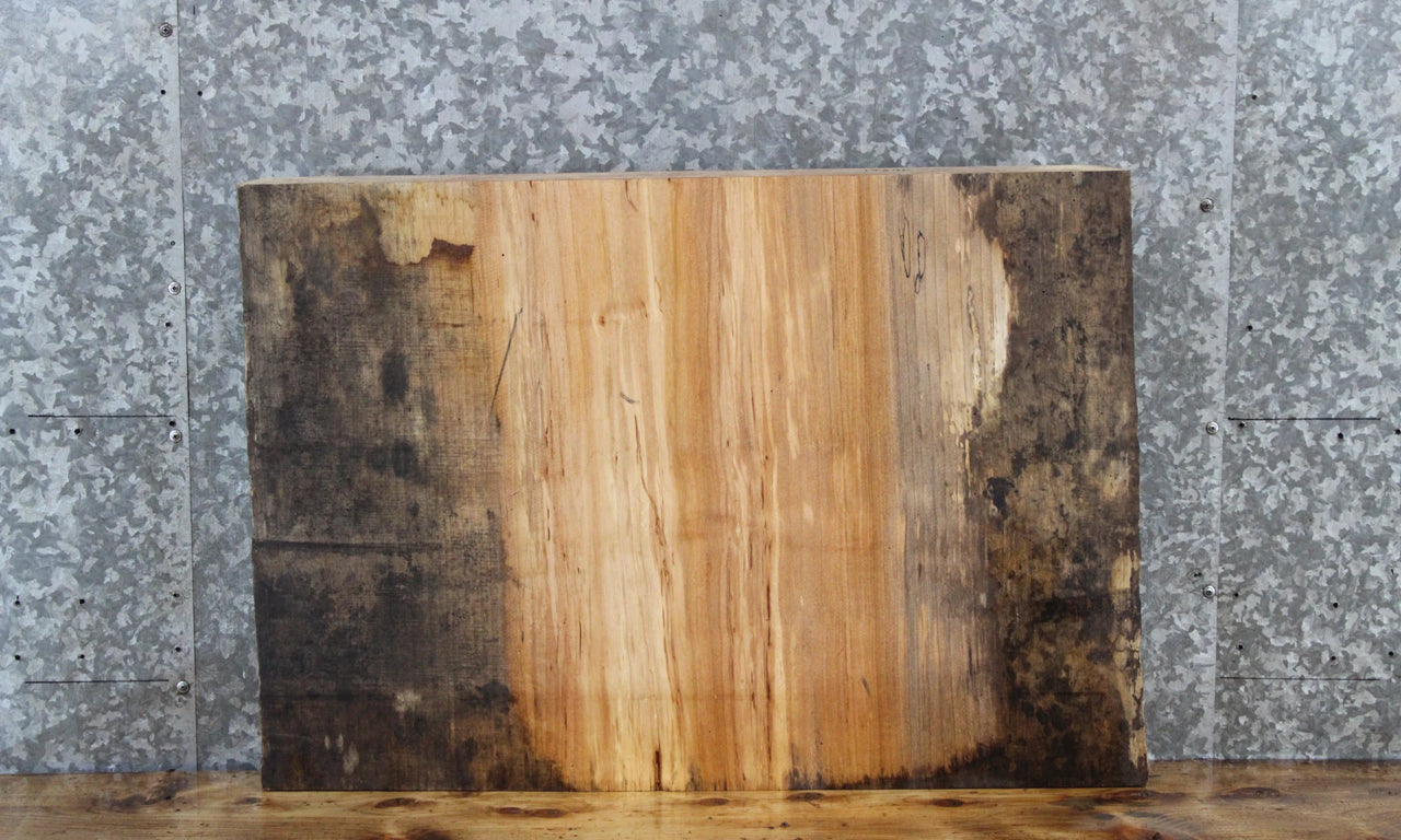 Spalted Maple Live Edge Coffee/End Table Slab 14346