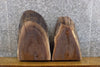 Thumbnail for 2- Oval Cut Live Edge Black Walnut Craft Pack CLOSEOUT 14347-14348