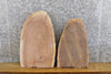 Thumbnail for 2- Oval Cut Live Edge Black Walnut Craft Pack CLOSEOUT 14347-14348