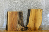 Thumbnail for 2- Salvaged Live Edge White Oak Taxidermy Base Slabs CLOSEOUT 14357-14358