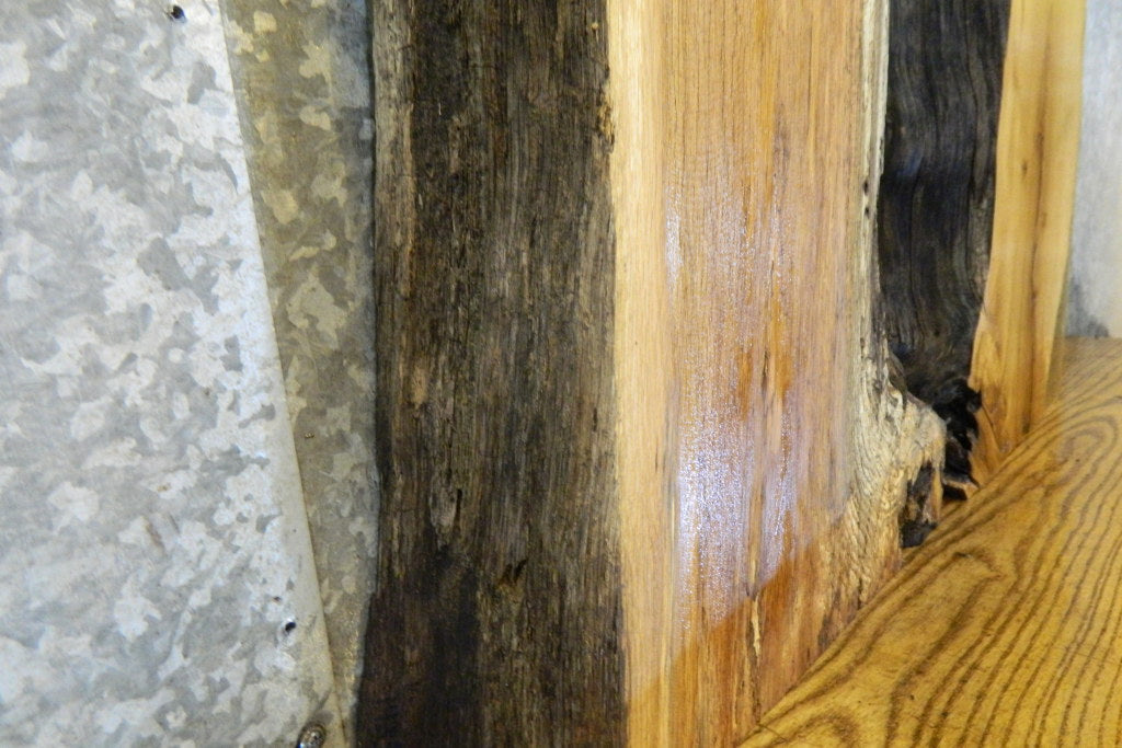 2- Salvaged Live Edge White Oak Taxidermy Base Slabs CLOSEOUT 14357-14358