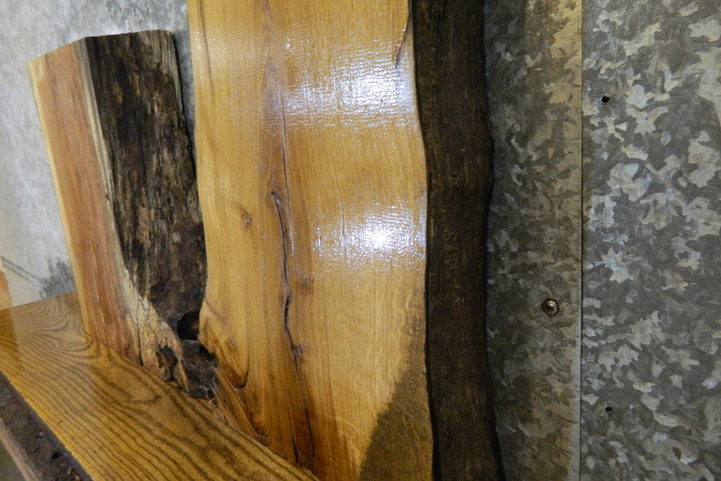 2- Salvaged Live Edge White Oak Taxidermy Base Slabs CLOSEOUT 14357-14358