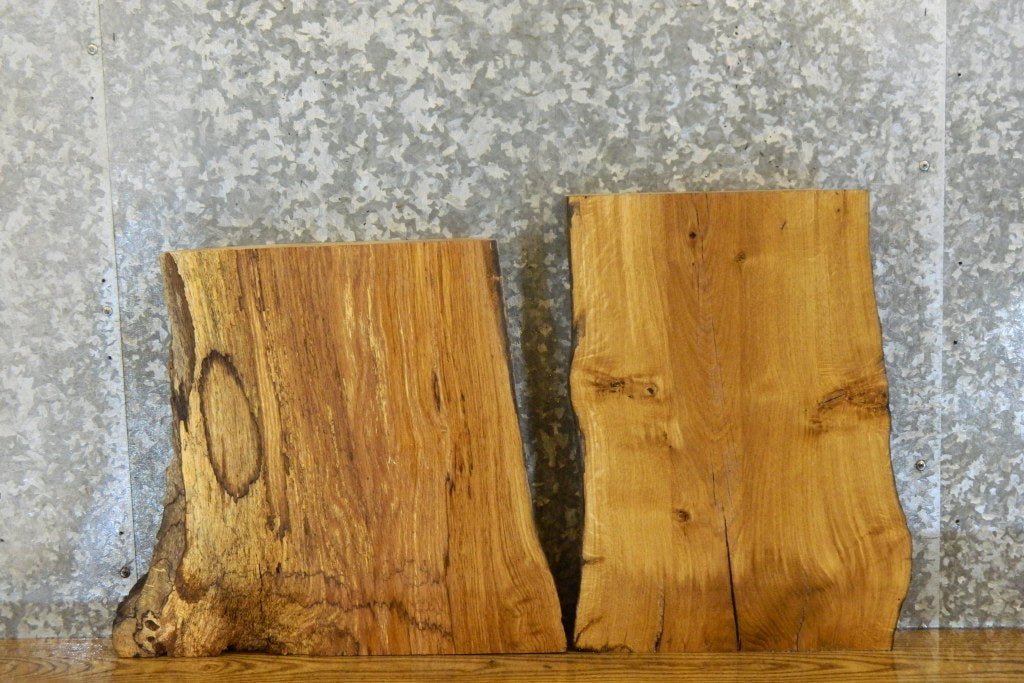 2- Salvaged Live Edge White Oak Taxidermy Base Slabs CLOSEOUT 14357-14358
