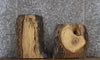 Thumbnail for 2- Ash Live Edge Charcuterie/Taxidermy Slabs 14359-14360