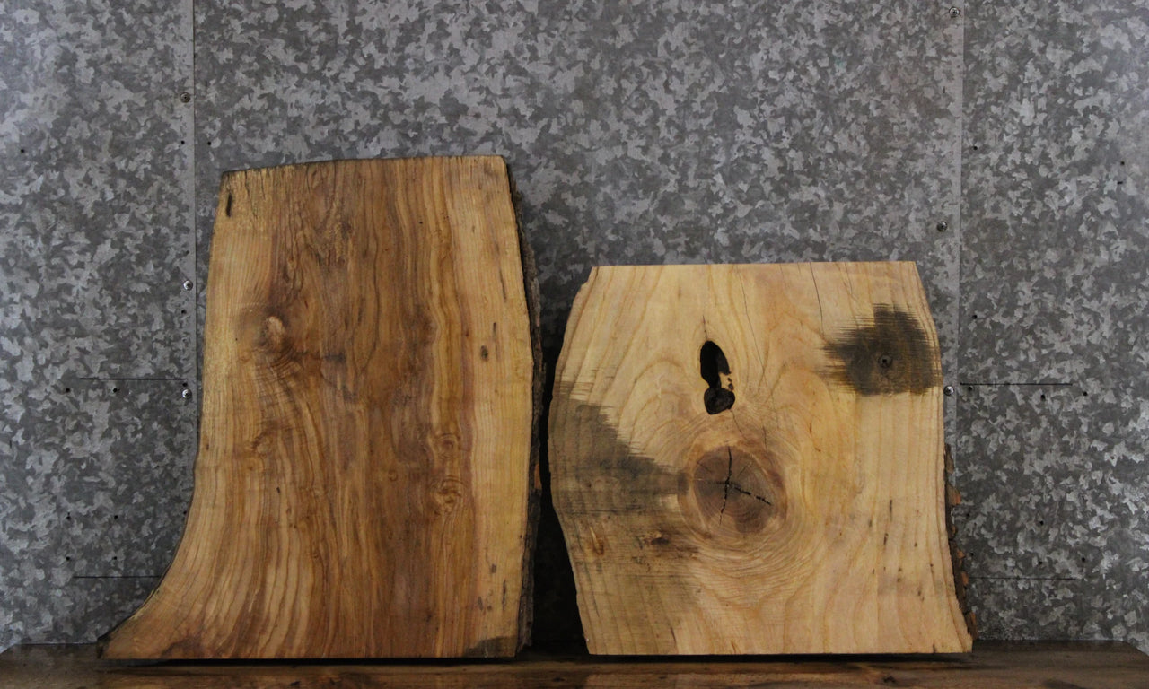 2- Ash Live Edge Charcuterie/Taxidermy Slabs 14359-14360