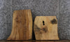 Thumbnail for 2- Ash Live Edge Charcuterie/Taxidermy Slabs 14359-14360