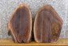 Thumbnail for 2- Black Walnut Partial Live Edge Oval Cut Craft Pack Wood Slabs 14361-14362