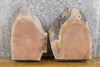 Thumbnail for 2- Black Walnut Partial Live Edge Oval Cut Craft Pack Wood Slabs 14361-14362