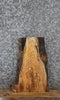 Thumbnail for Locust Live Edge Charcuterie/Taxidermy Slab 14365