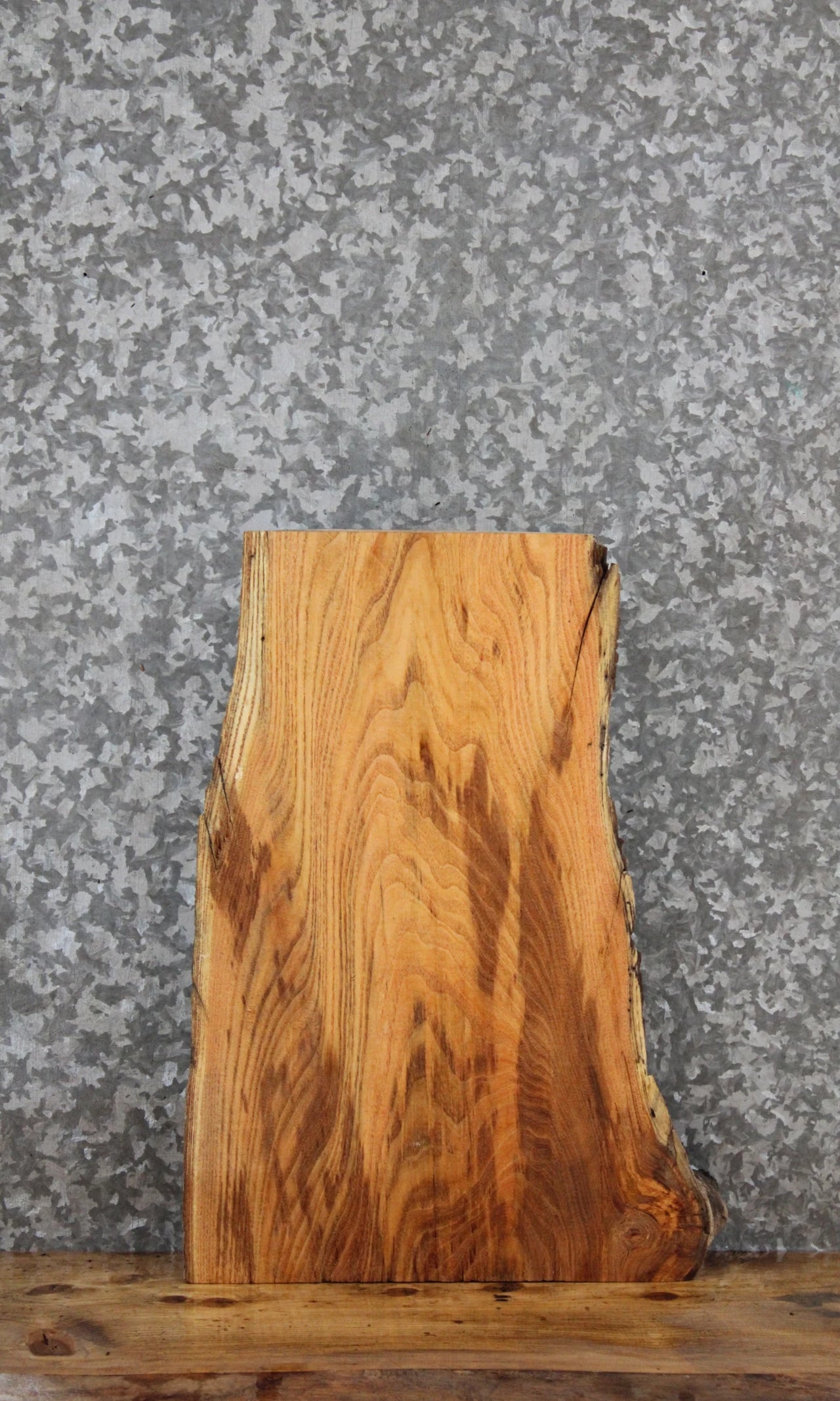 Locust Live Edge Charcuterie/Taxidermy Slab 14365