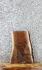 Thumbnail for Walnut Live Edge Charcuterie/Taxidermy Slab 14372