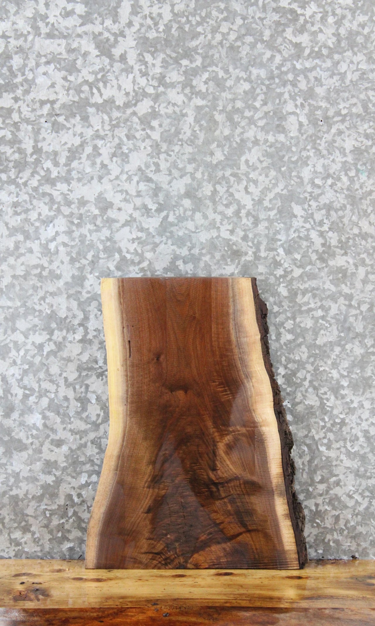 Walnut Live Edge Charcuterie/Taxidermy Slab 14372
