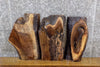 Thumbnail for 3- Black Walnut Live Edge Rustic Epoxy Project/Charcuterie Boards 14377-14379