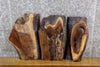 Thumbnail for 3- Black Walnut Live Edge Rustic Epoxy Project/Charcuterie Boards 14377-14379