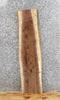 Thumbnail for Live Edge Black Walnut Bar Top/End/Accent Table Top Slab 1437
