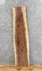 Thumbnail for Live Edge Black Walnut Bar Top/End/Accent Table Top Slab 1437