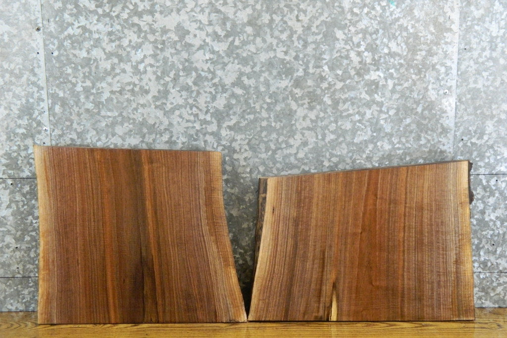 2- Natural Edge Black Walnut Craft Pack CLOSEOUT 14384-14385