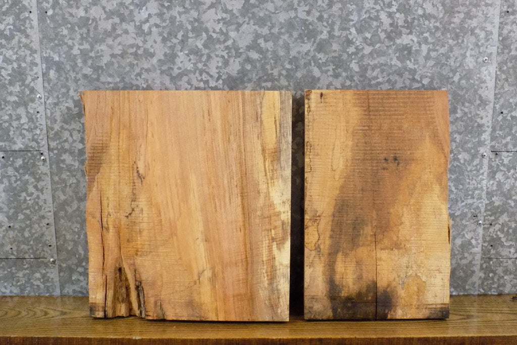 2- Partial Live Edge Maple Craft Pack/DIY Charcuterie Boards 14388-14389