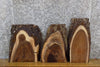 Thumbnail for 3- Live Edge Black Walnut Rustic DIY Charcuterie Boards/Slabs 14396-14398