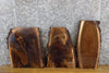 Thumbnail for 3- Live Edge Black Walnut Rustic DIY Charcuterie Boards/Slabs 14396-14398