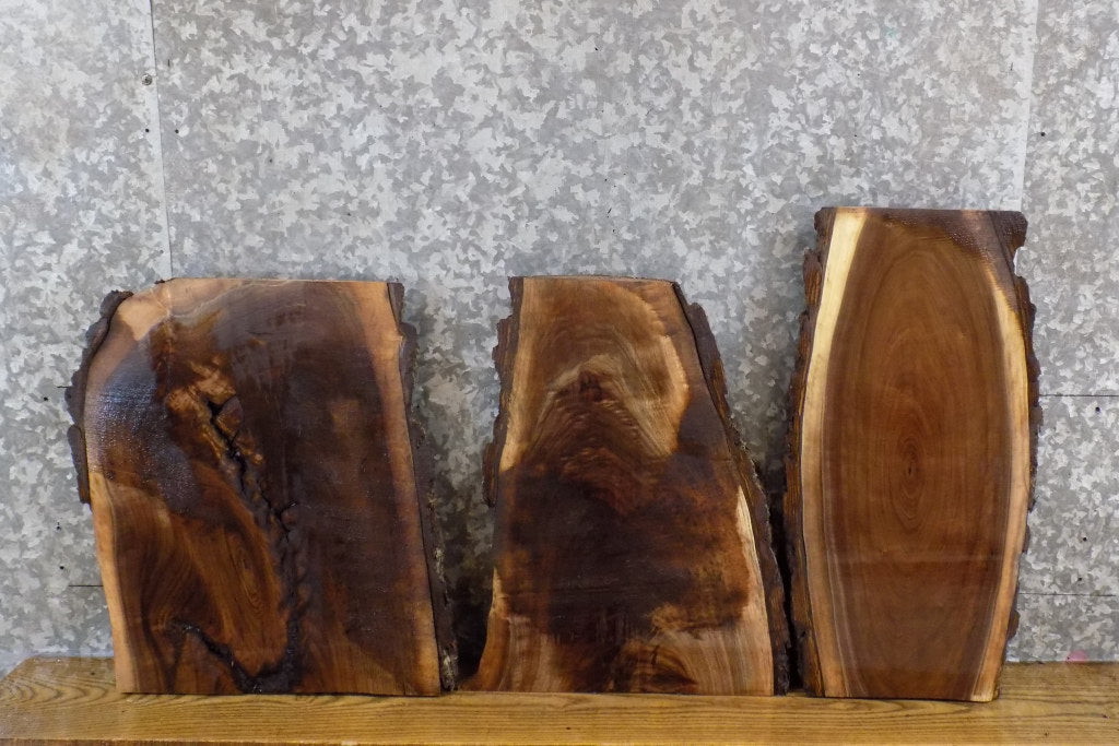 3- Live Edge Black Walnut Rustic DIY Charcuterie Boards/Slabs 14396-14398
