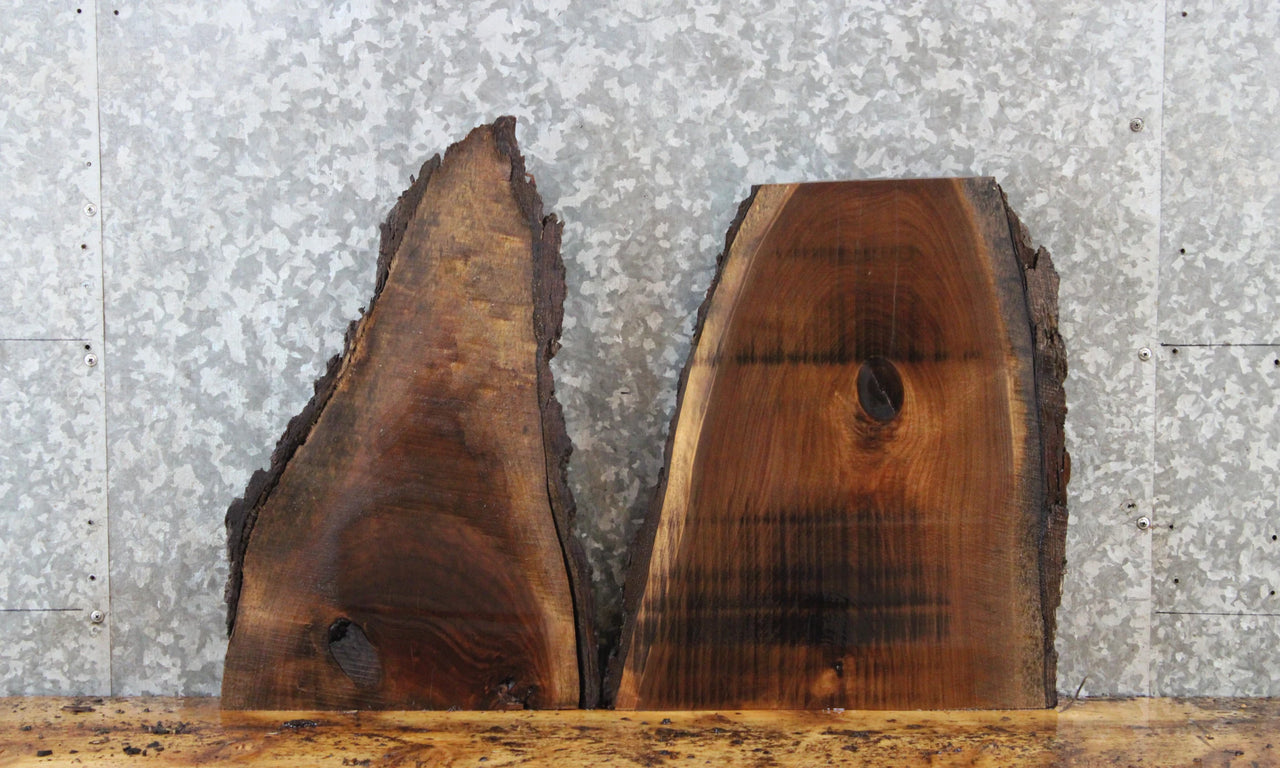 2- Live Edge Black Walnut End Table Top/Charcuterie Board Slabs 14399-14400