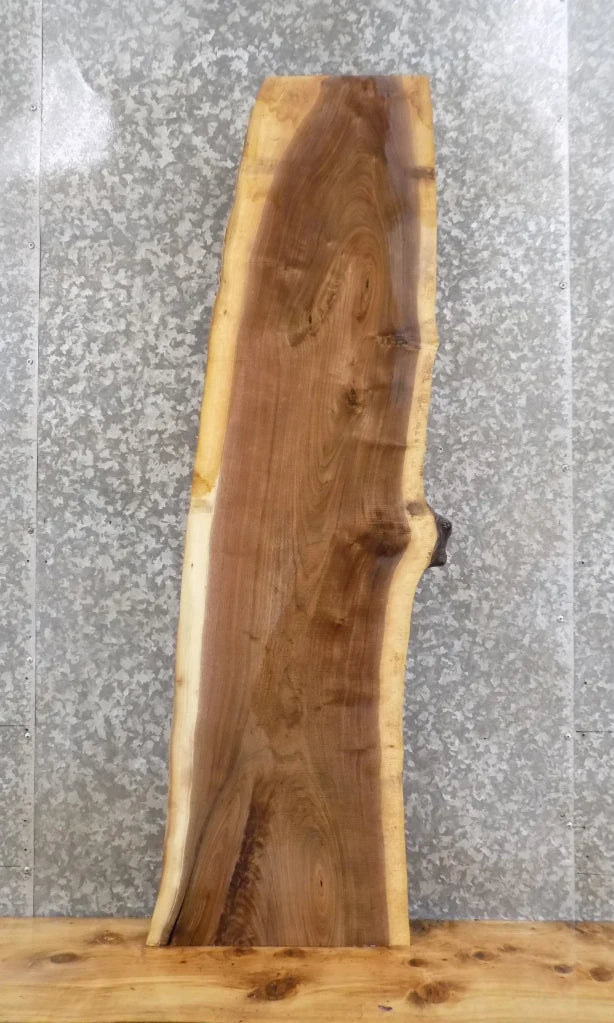 Live Edge Black Walnut Bar Top/Mantle/Accent Table Top Slab 1440