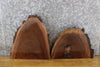 Thumbnail for 2- Live Edge Black Walnut Craft Pack/Taxidermy Base Slab CLOSEOUT 14415-14416
