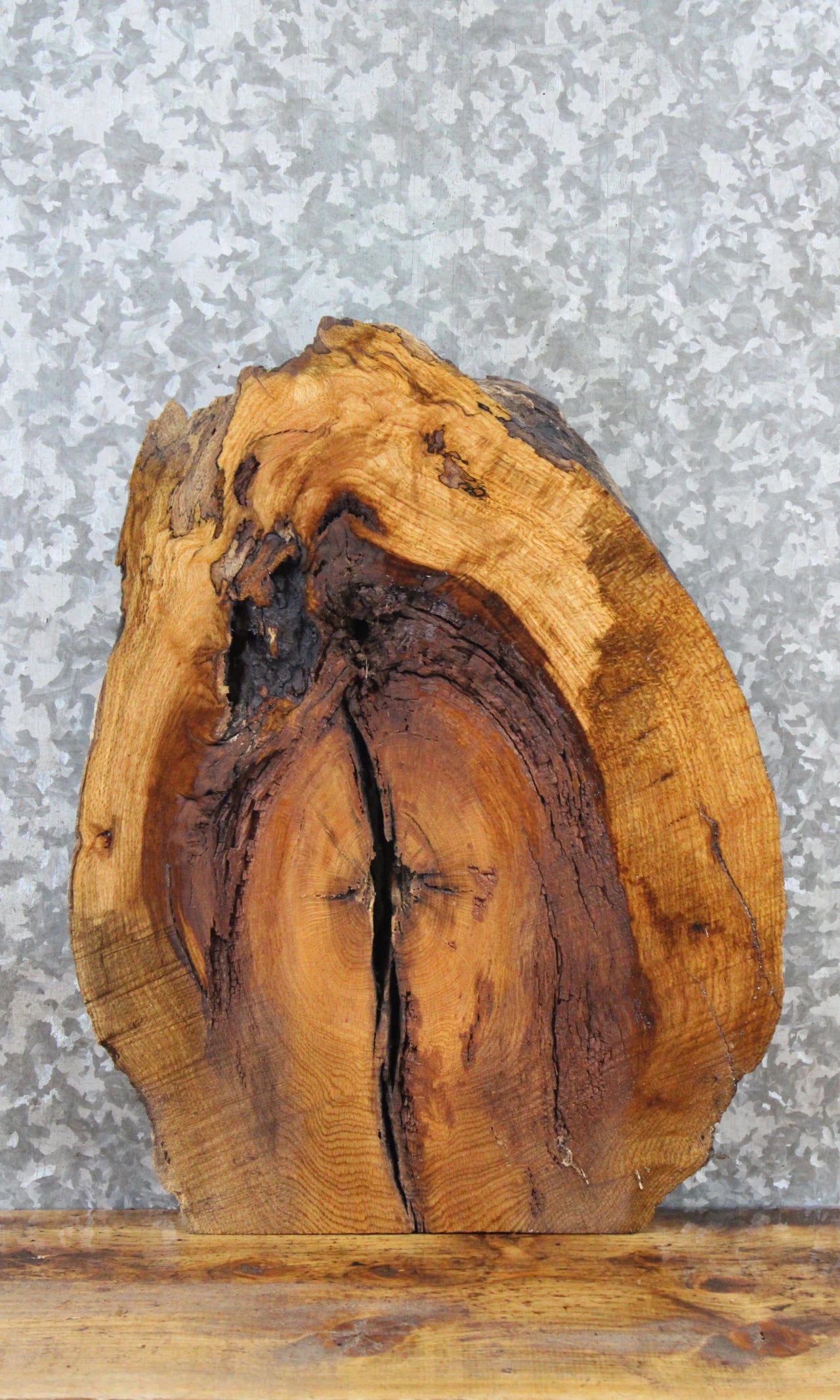 Live Edge White Oak Charcuterie Board/End Table Top 14417